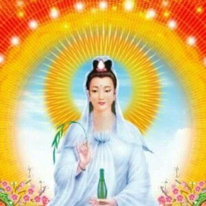 Tuyết Tuyết profile icon