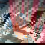 Ruksa Pattaratida Sidokbuab profile icon