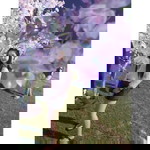 Wipawee Auddee profile icon