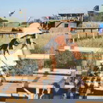 มด น้อย. profile icon