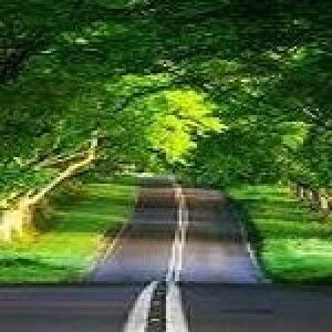 Nur Rohani profile icon