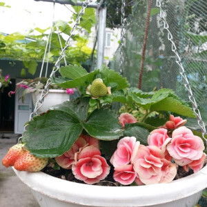 Yên Lê profile icon