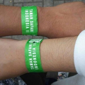 Lulut Sari profile icon