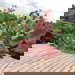 สรัลชนา บัวใหญ่ profile icon