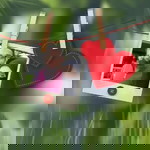 Thorn Rose profile icon