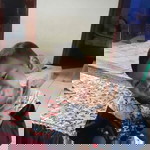 Mawar Penuh Duri profile icon