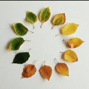 Winda Setya profile icon