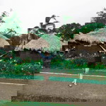 Mary Grace Lazaro Coh profile icon