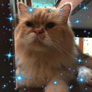 Nor Farahliza Mohd Shariff profile icon