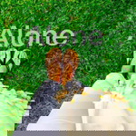 Energy MyPh profile icon