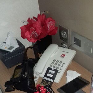 Poppy Alsava profile icon