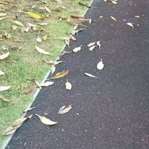 Surapee P profile icon