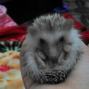 รัตนา บุญมาก profile icon