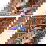 Ozerec Somar profile icon