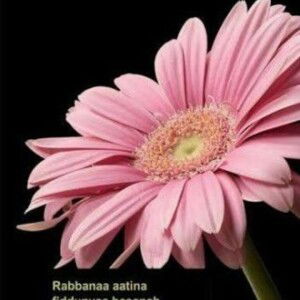 Auni Wzhanyda profile icon