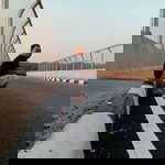 Sholeh Way profile icon