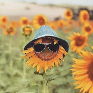 Silfia Dika Pratiwi profile icon