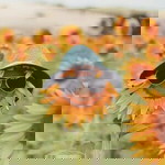 Silfia Dika Pratiwi profile icon