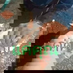 ความรู้สึก นาเดีย กับสิ่งที่ฉันเป็น profile icon