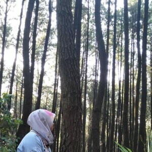 Edeva Novita profile icon