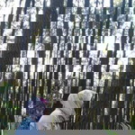 Edeva Novita profile icon