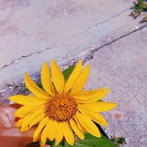 FitriaBdm profile icon