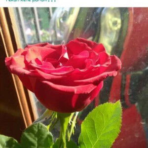 La Ela Priyantono profile icon