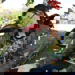 Tasanawan Laowongsi profile icon