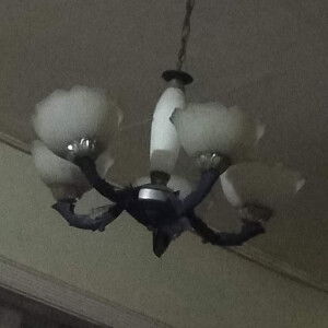 JojoAllTheWay busted profile icon