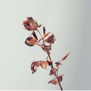 Desi Irnawati profile icon