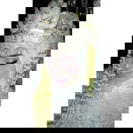 Selly Febrita Sari profile icon