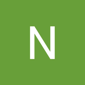 Natsviya Admad profile icon