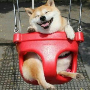 Phạm Hồng Ngát profile icon