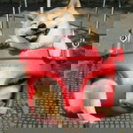 Phạm Hồng Ngát profile icon