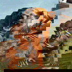 ปิยะชัย โสหา profile icon