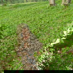 Dewi Riyanti profile icon