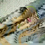 Rosalie Conde profile icon