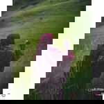 Siti Maesaroh profile icon