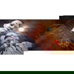 Baiq Risma profile icon