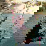 Erlin Pranitha profile icon