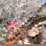 Merl Quinio profile icon