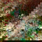 Andi Rosmini Tidar profile icon