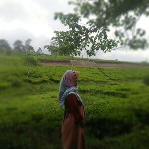 Silfi Salapiah profile icon