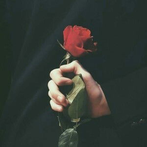 Fitriani Desti profile icon