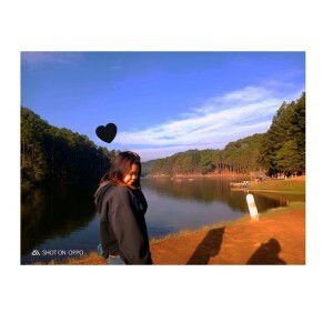 pawnpet profile icon