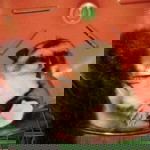 Nazatul Nadiah Binti Munap profile icon