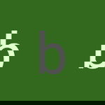 bawonpuk tueboontum profile icon