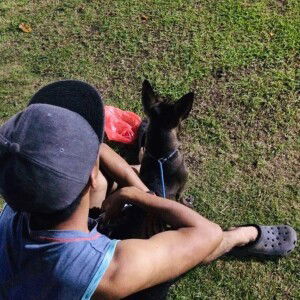 Cherry Joy Venus Soler profile icon