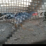 คร๊าฟฟฟ คร๊าฟฟฟ profile icon