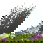 Huỳnh Oanh profile icon